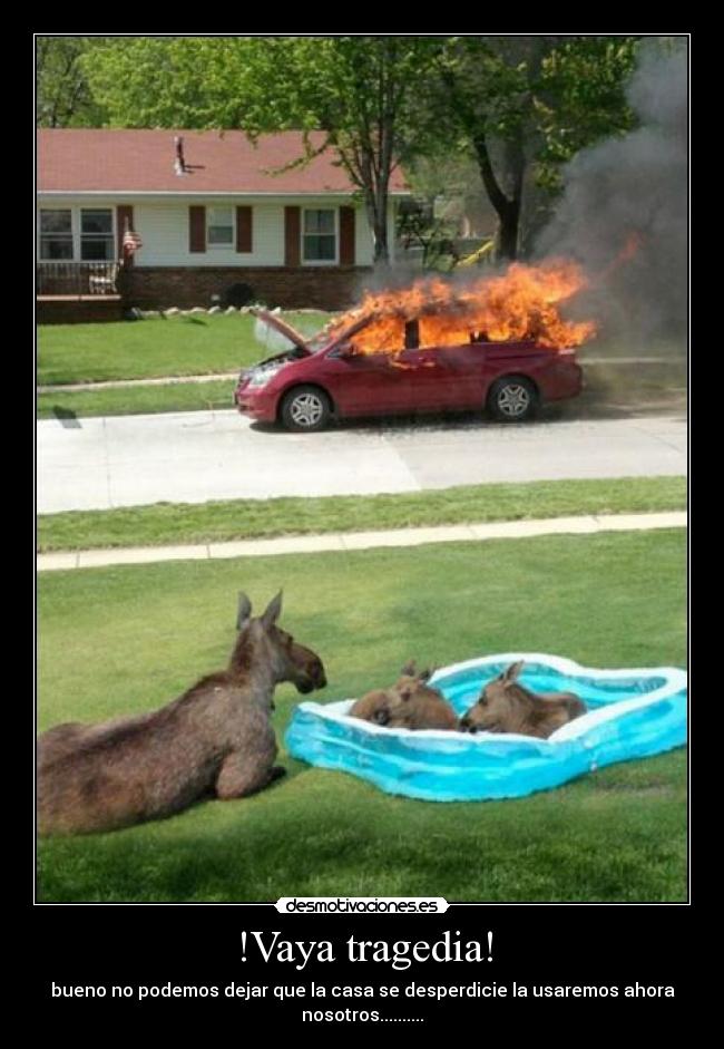 !Vaya tragedia! - bueno no podemos dejar que la casa se desperdicie la usaremos ahora nosotros..........