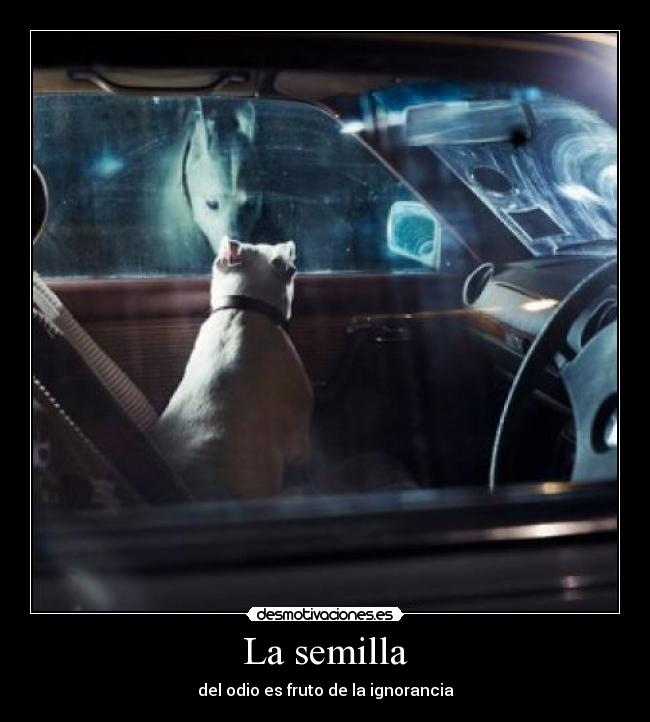 La semilla - del odio es fruto de la ignorancia