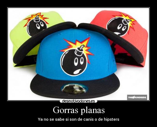 carteles gorras planas obey newera hipster cani like desmotivaciones