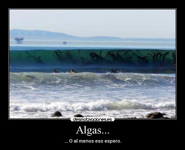 carteles algas desmotivaciones