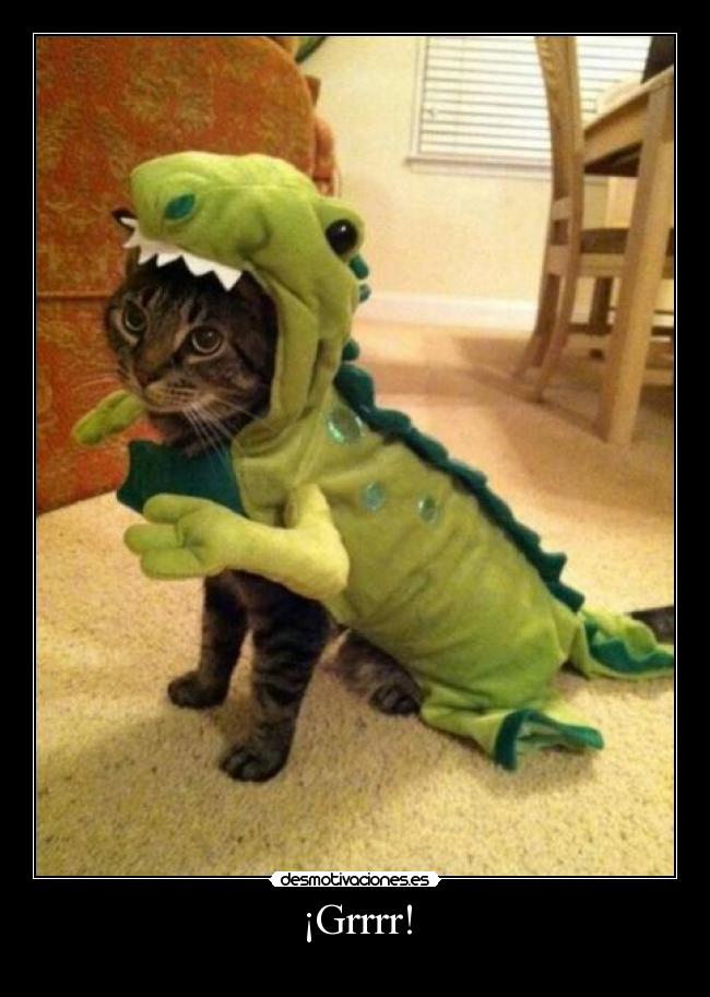 ¡Grrrr! -