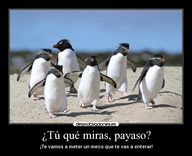 carteles los pinguichungos desmotivaciones