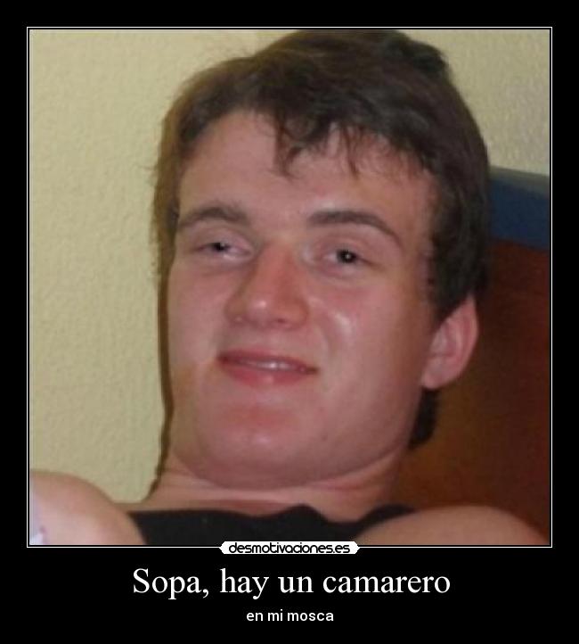 Sopa, hay un camarero - en mi mosca