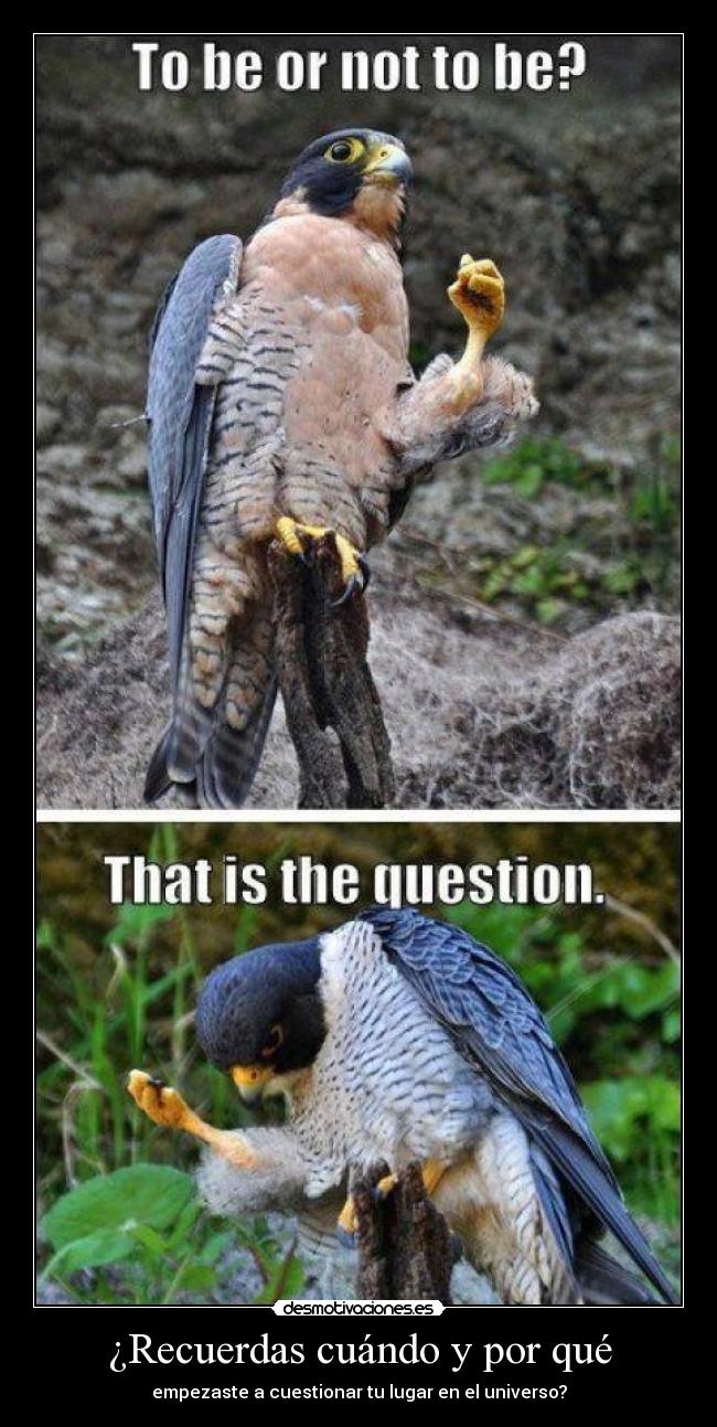 ¿Recuerdas cuándo y por qué - empezaste a cuestionar tu lugar en el universo?