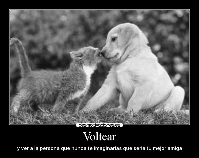 carteles voltear ver desmotivaciones