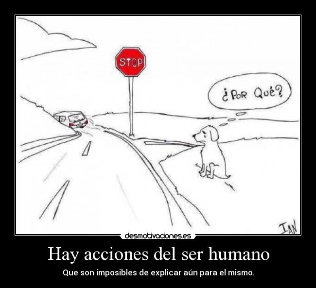 Hay acciones del ser humano -