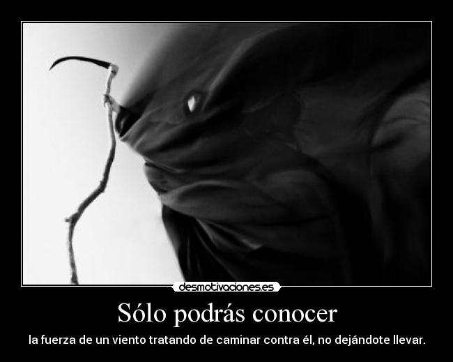 Sólo podrás conocer -