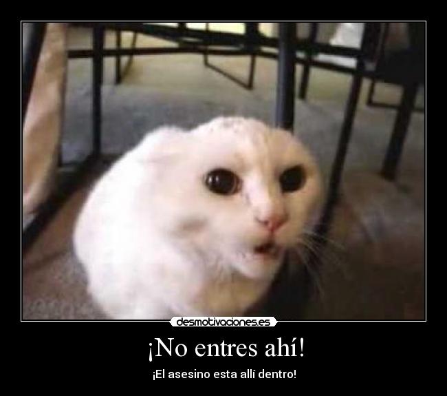 ¡No entres ahí! - ¡El asesino esta allí dentro!