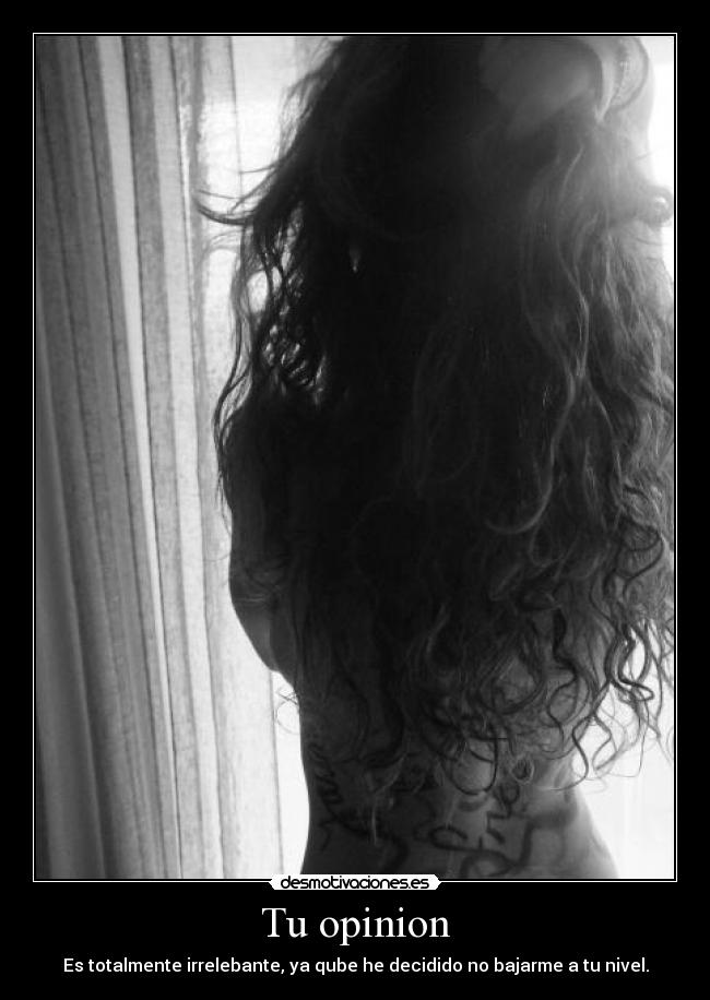 Tu opinion - Es totalmente irrelebante, ya qube he decidido no bajarme a tu nivel.