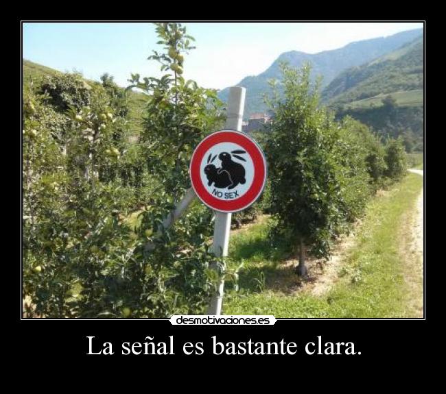 La señal es bastante clara. -