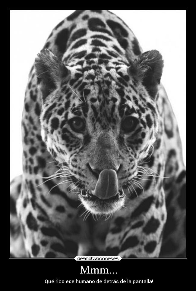 Mmm... - ¡Qué rico ese humano de detrás de la pantalla!