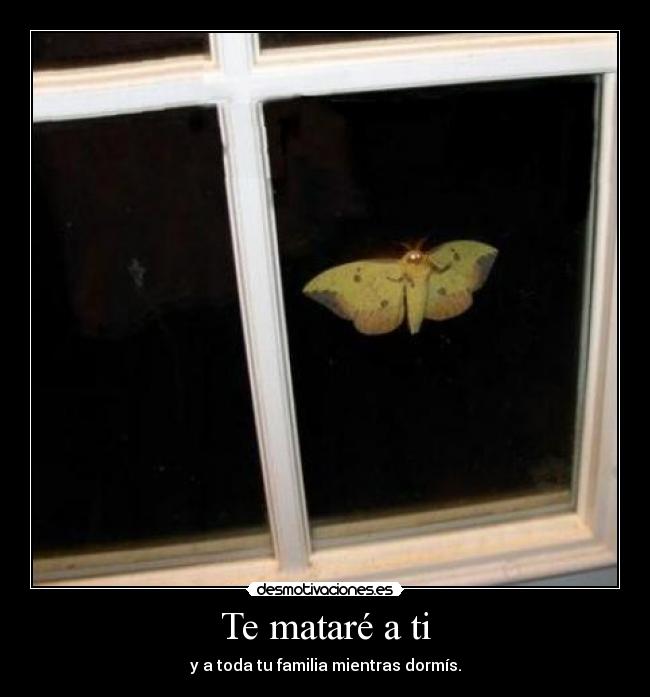 Te mataré a ti - 