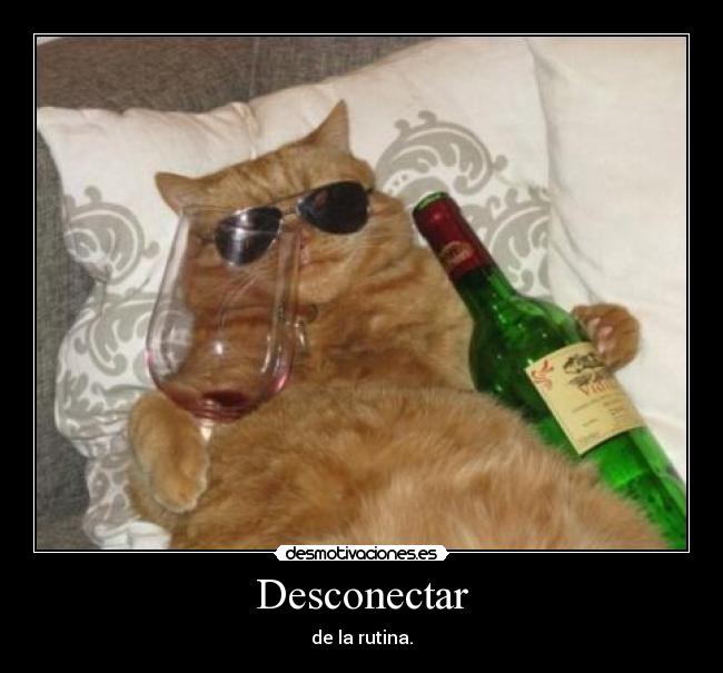 Desconectar - 