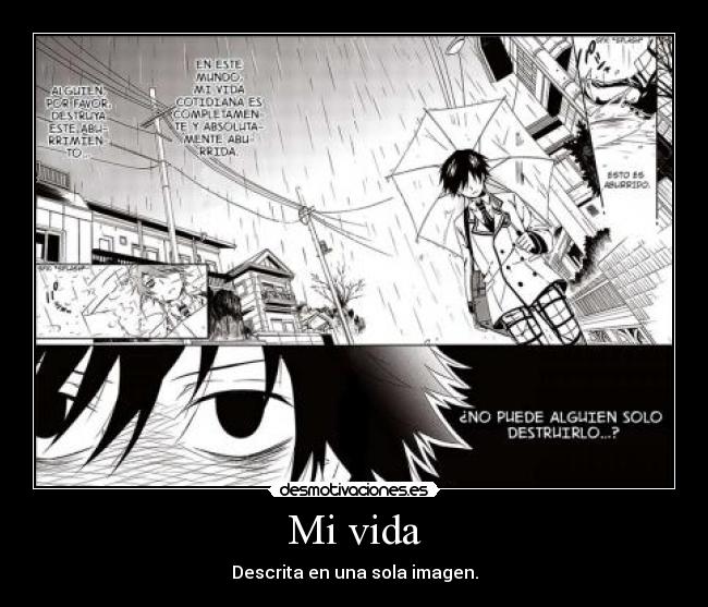 Mi vida - Descrita en una sola imagen.