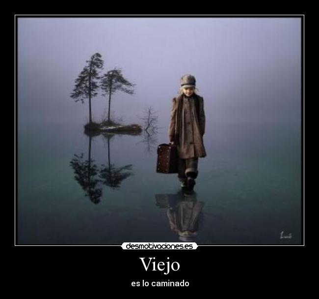 Viejo - 