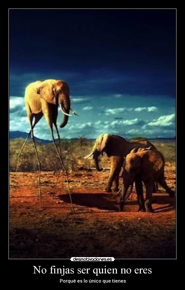 No finjas ser quien no eres -