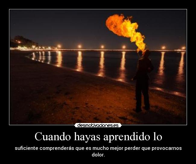 carteles vengo aqui por todo pierdo estare orgulloso haberlo intentado desmotivaciones