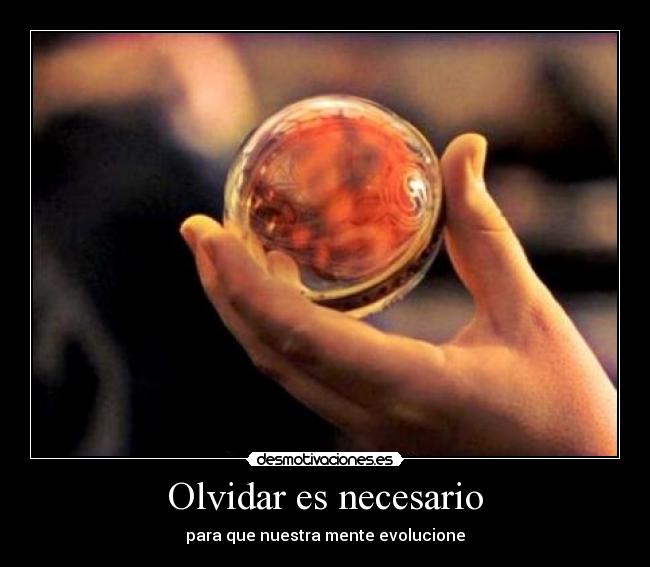 Olvidar es necesario - para que nuestra mente evolucione