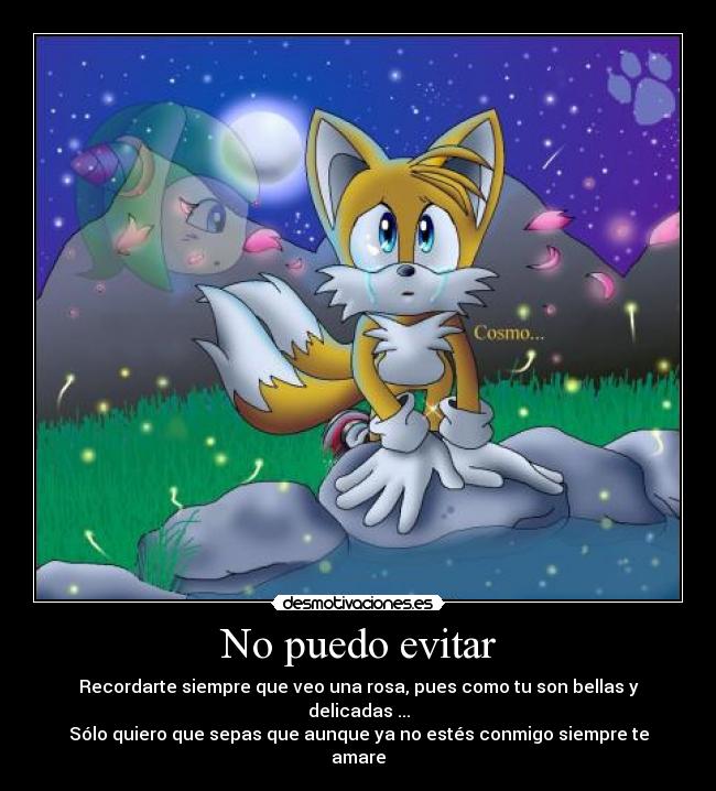 No puedo evitar - Recordarte siempre que veo una rosa, pues como tu son bellas y delicadas ...
Sólo quiero que sepas que aunque ya no estés conmigo siempre te amare