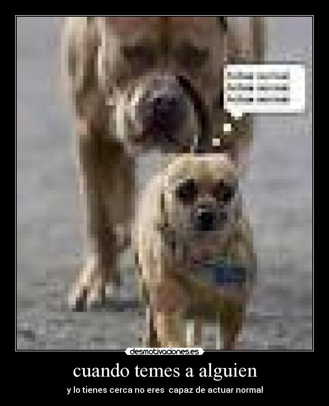 Imágenes y Carteles de PEROS | Desmotivaciones