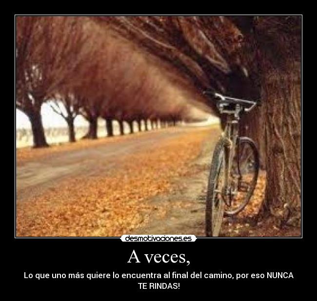 carteles nunca debe rendir desmotivaciones