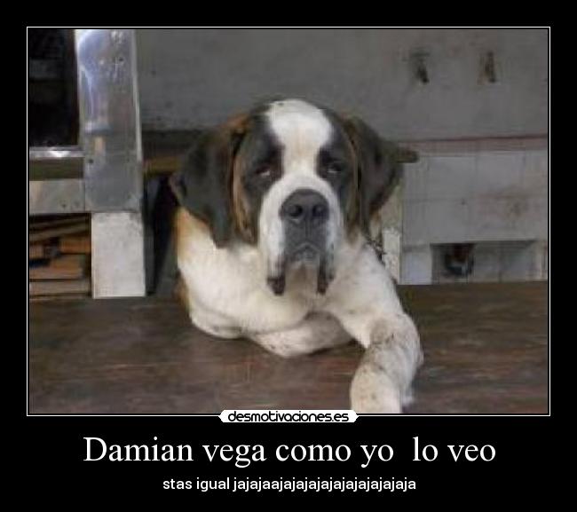 carteles jajajajaja desmotivaciones