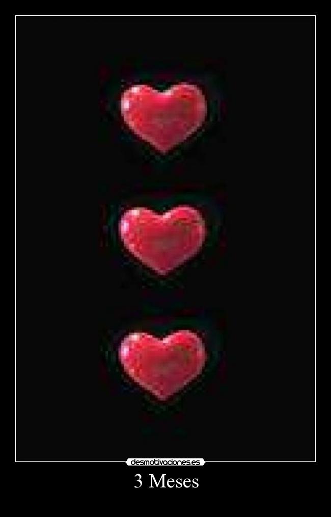 3 Meses - 