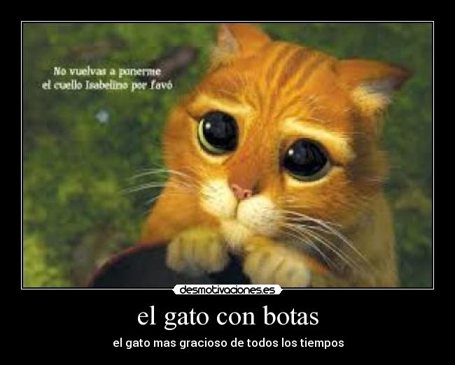 carteles gto con botas desmotivaciones