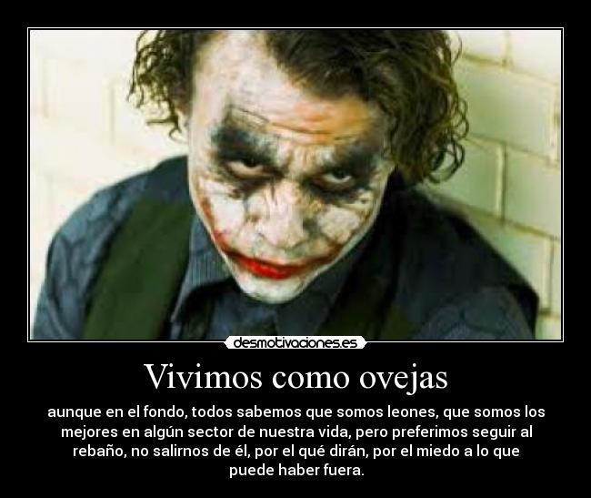 Vivimos como ovejas -