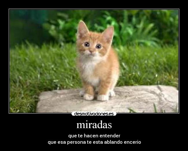 miradas - 