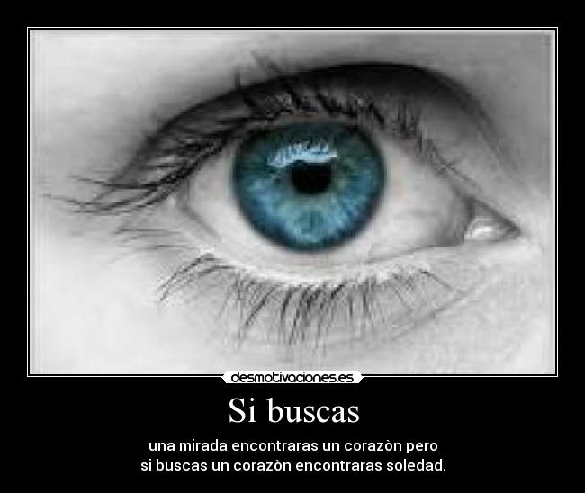 Si buscas - 