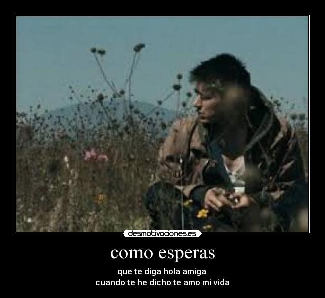 como esperas - que te diga hola amiga
cuando te he dicho te amo mi vida