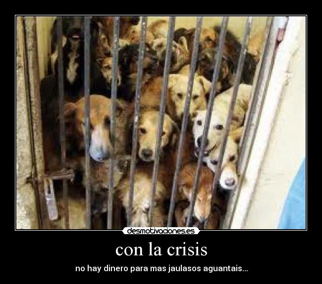 con la crisis - no hay dinero para mas jaulasos aguantais...