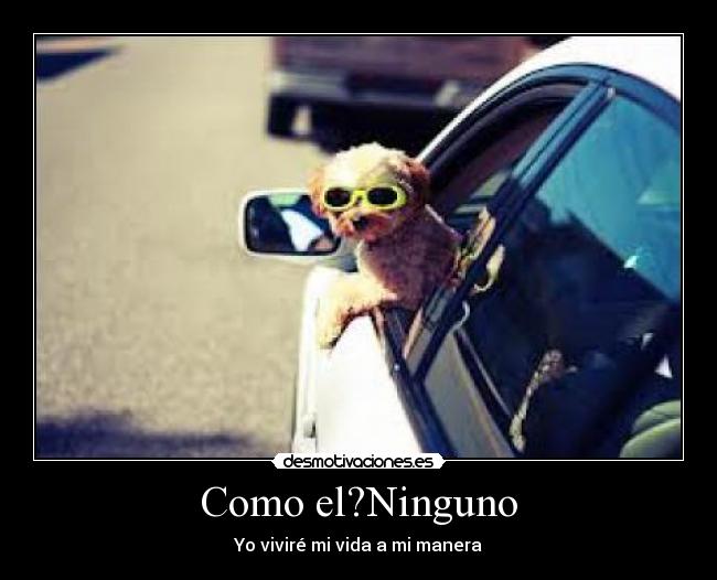 Como el?Ninguno - 