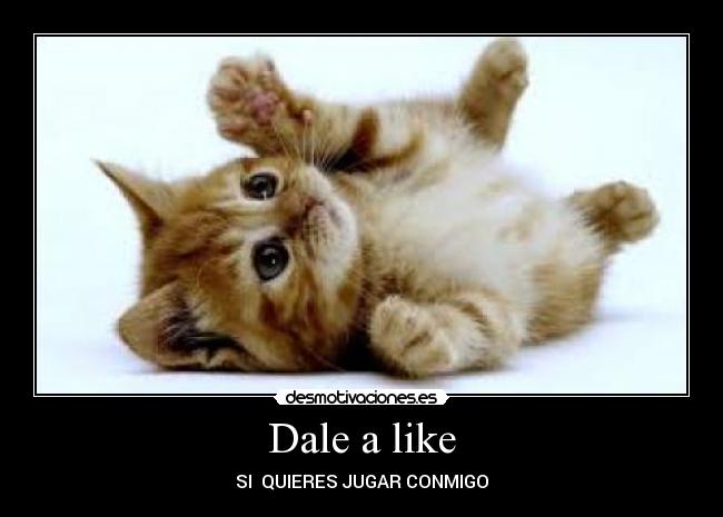 Dale a like - SI  QUIERES JUGAR CONMIGO