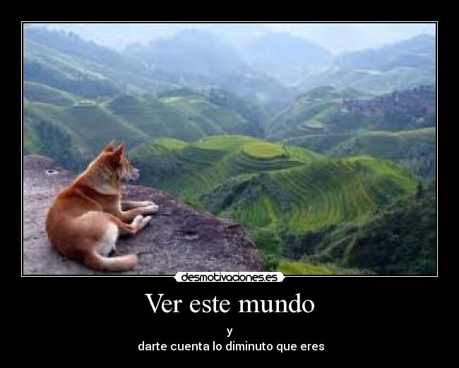 Ver este mundo - y
darte cuenta lo diminuto que eres