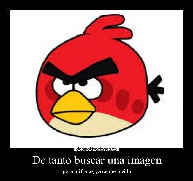 De tanto buscar una imagen - para mi frase, ya se me olvido