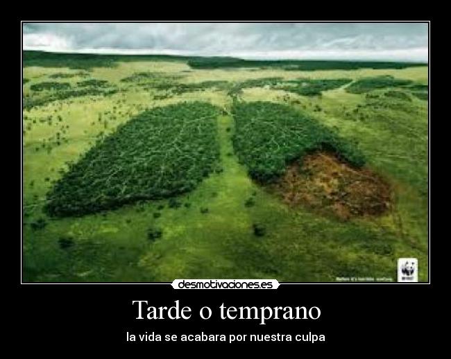 Tarde o temprano -