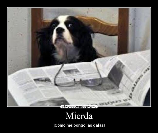 carteles perro humano problema desmotivaciones