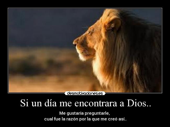 Si un día me encontrara a Dios.. -