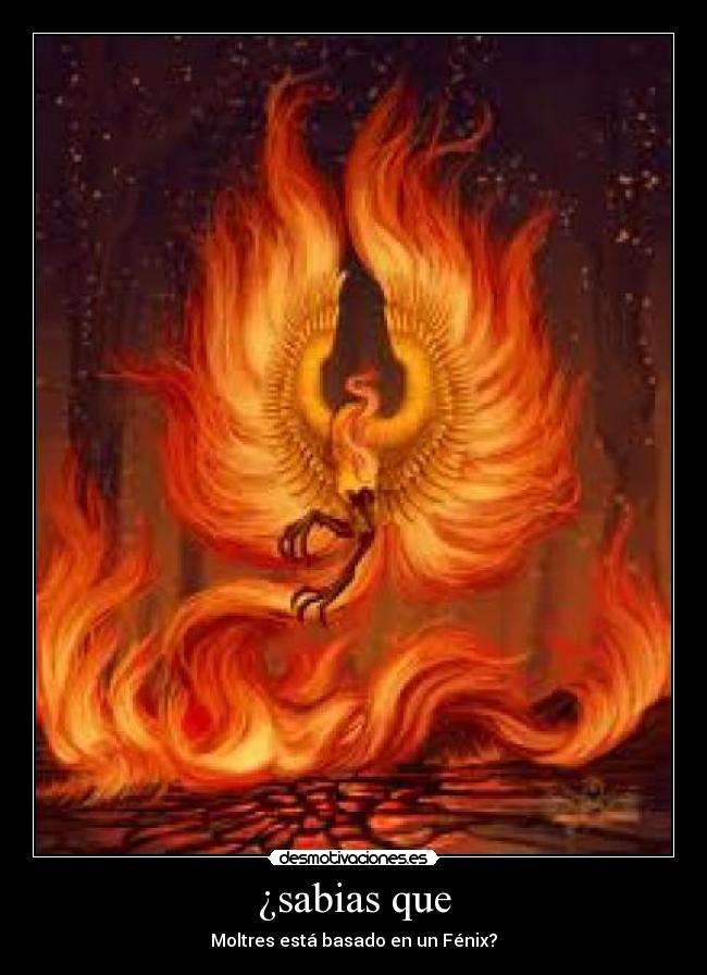 ¿sabias que - Moltres está basado en un Fénix?
