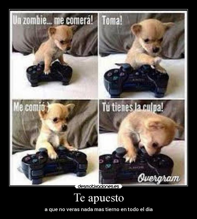 carteles tierno desmotivaciones