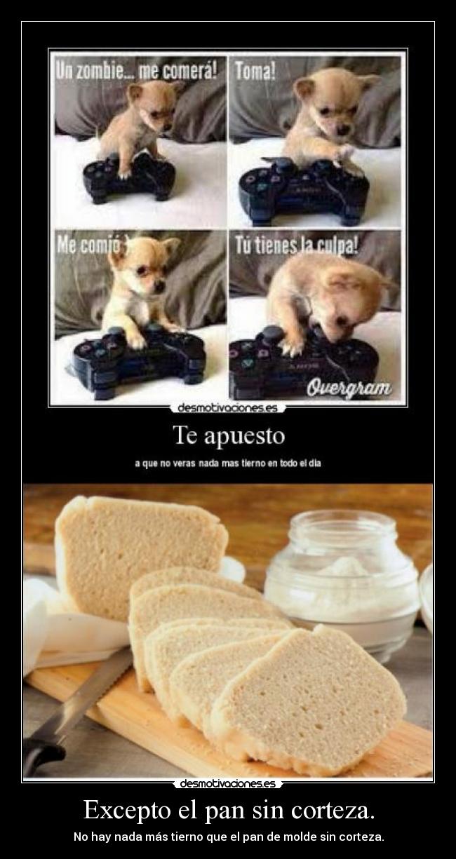 Excepto el pan sin corteza. - 