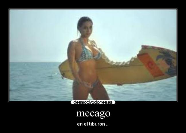 mecago - en el tiburon ...