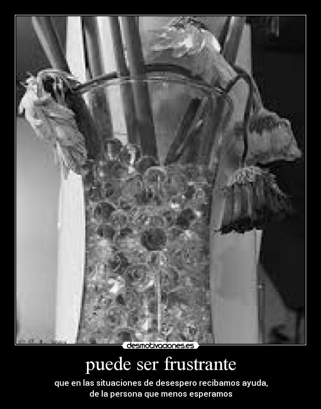 puede ser frustrante - 