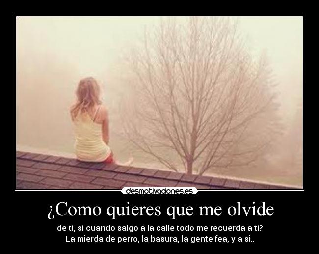 ¿Como quieres que me olvide - de ti, si cuando salgo a la calle todo me recuerda a ti?
La mierda de perro, la basura, la gente fea, y a si..