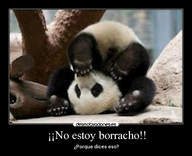 ¡¡No estoy borracho!! - ¿Porque dices eso?