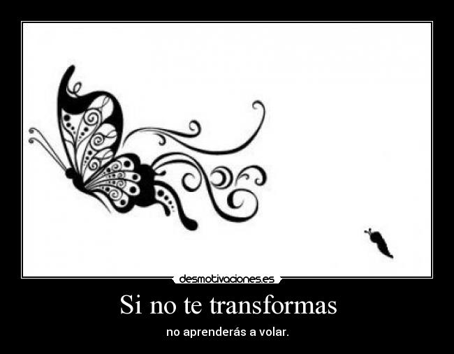 Si no te transformas - no aprenderás a volar.