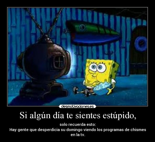 Si algún día te sientes estúpido, - solo recuerda esto:
Hay gente que desperdicia su domingo viendo los programas de chismes en la tv.