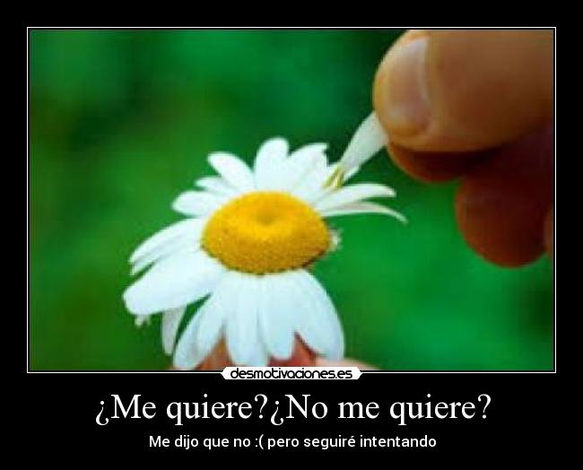 ¿Me quiere?¿No me quiere? - Me dijo que no :( pero seguiré intentando